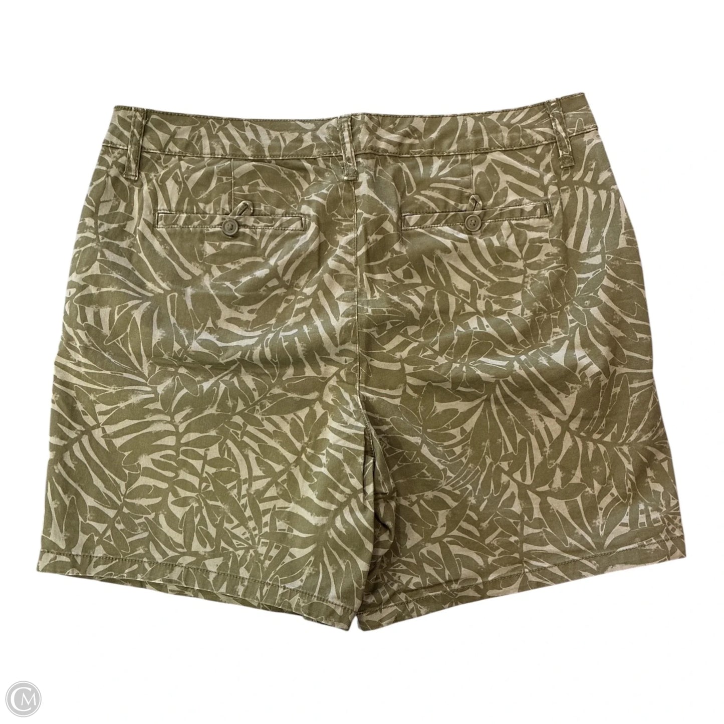 Shorts By St Johns Bay In Green, Size: 14