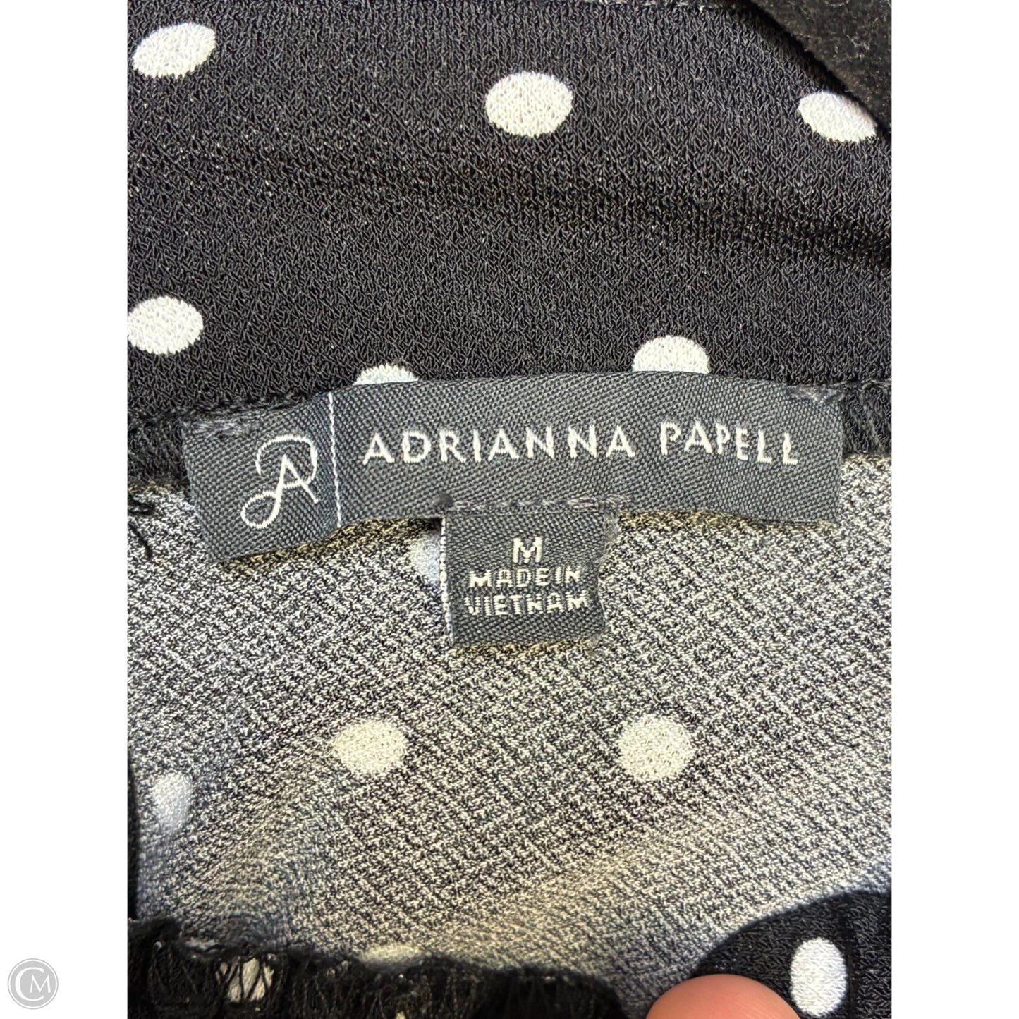 Blouse Short Sleeve By Adrianna Papell In Black, Size: M