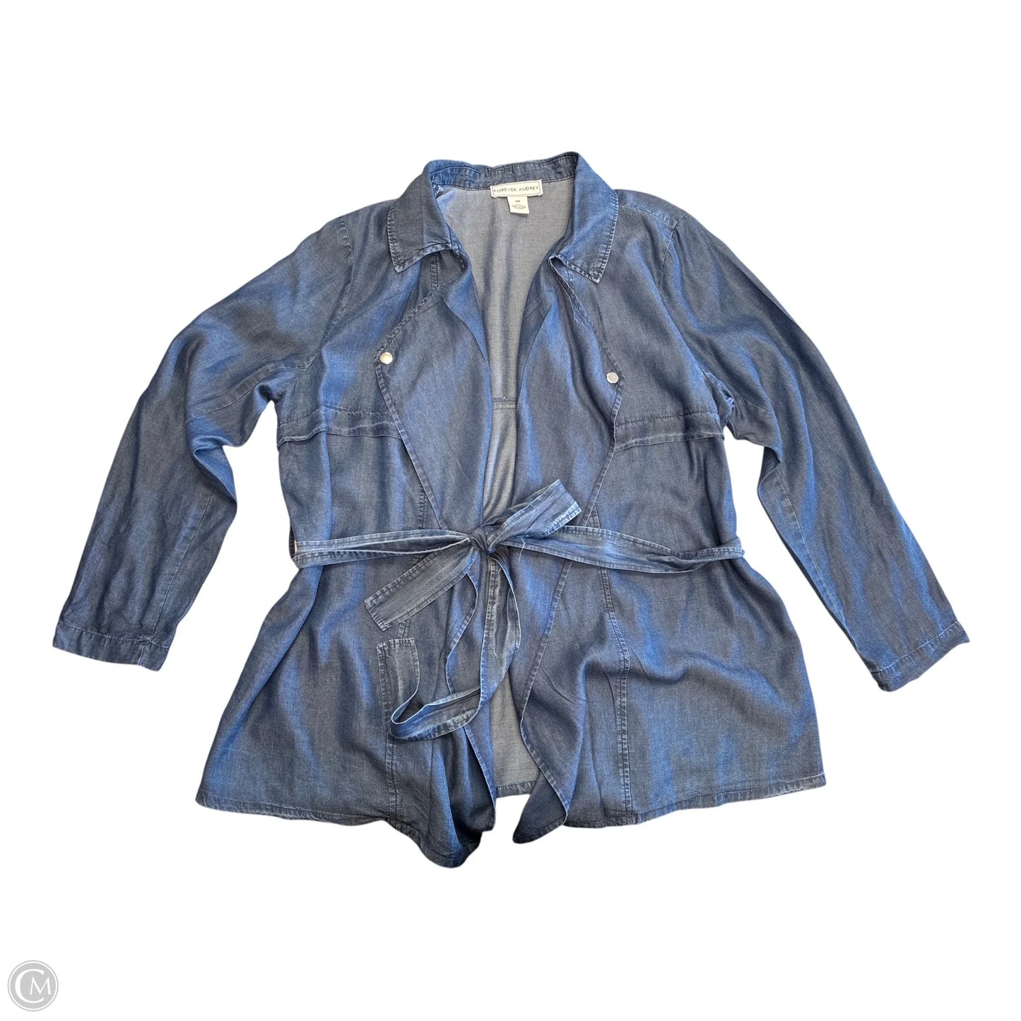 Blouse Long Sleeve By Clothes Mentor In Blue Denim, Size: Xxl