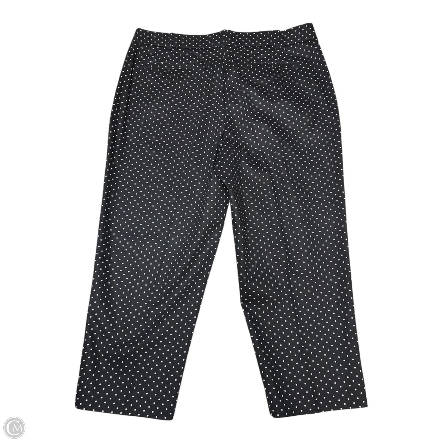 Capris By Kim Rogers In Polkadot Pattern, Size: 10