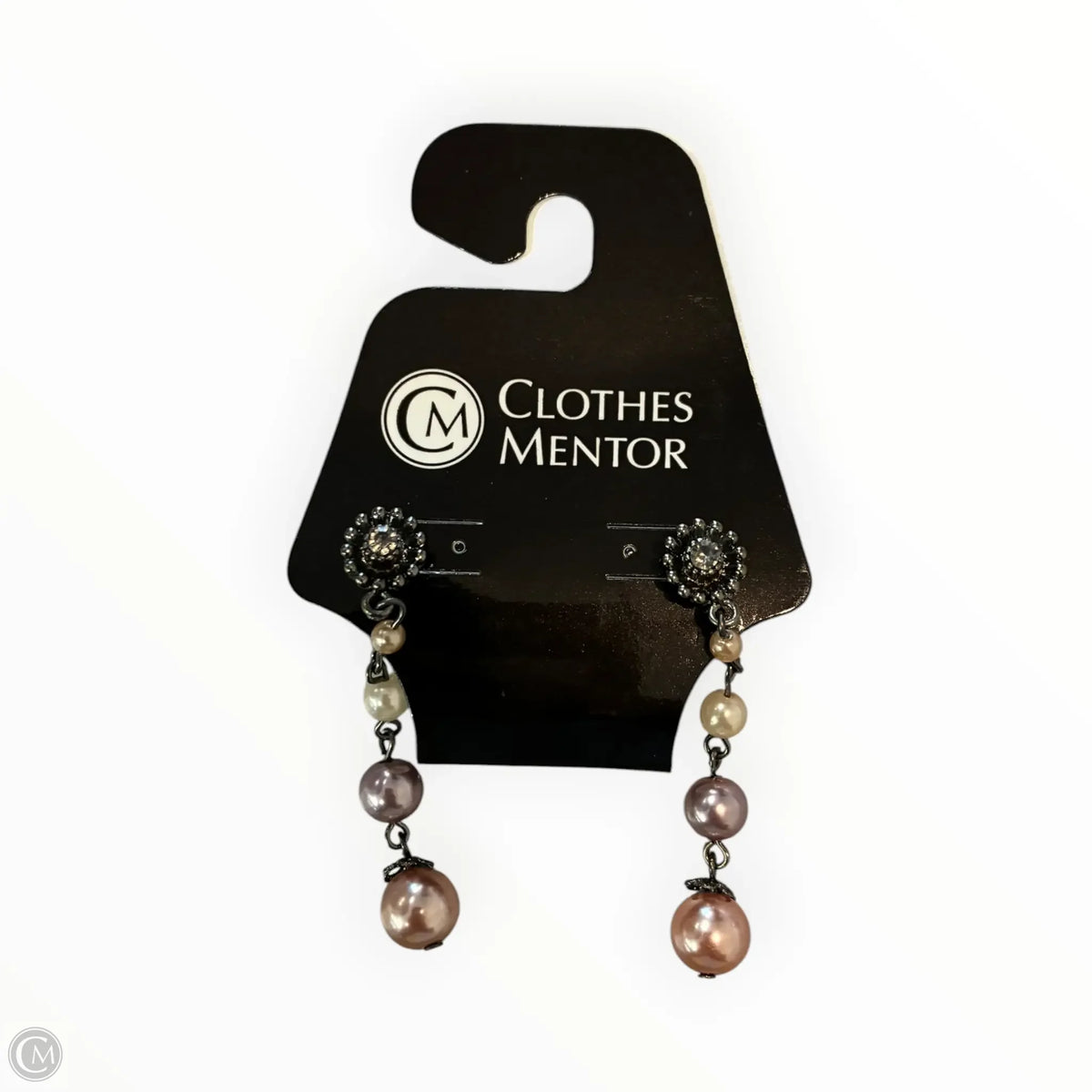 Earrings Dangle/drop By Chicos