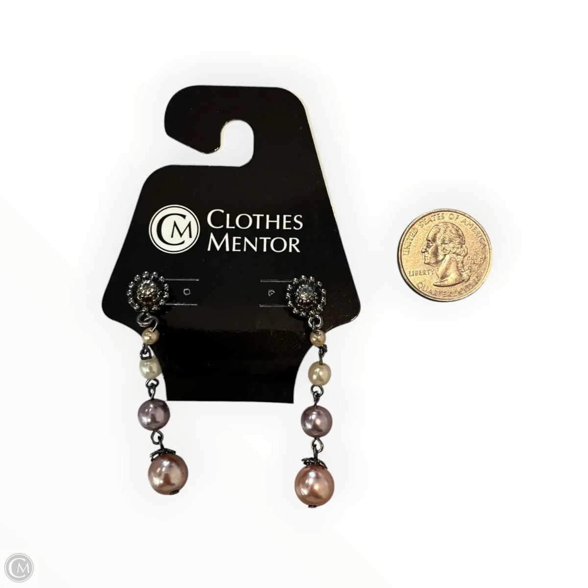 Earrings Dangle/drop By Chicos