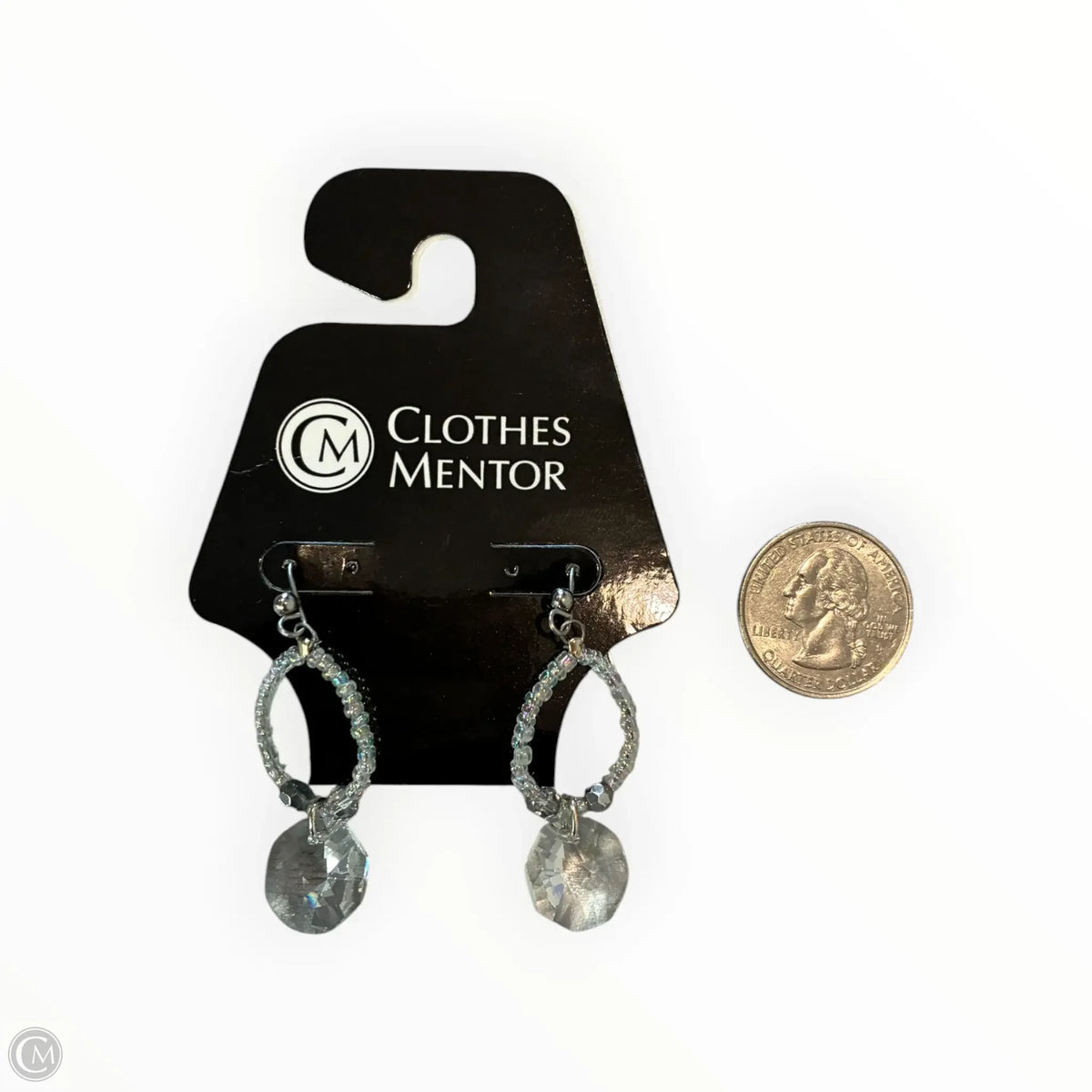 Earrings Dangle/drop By Chicos