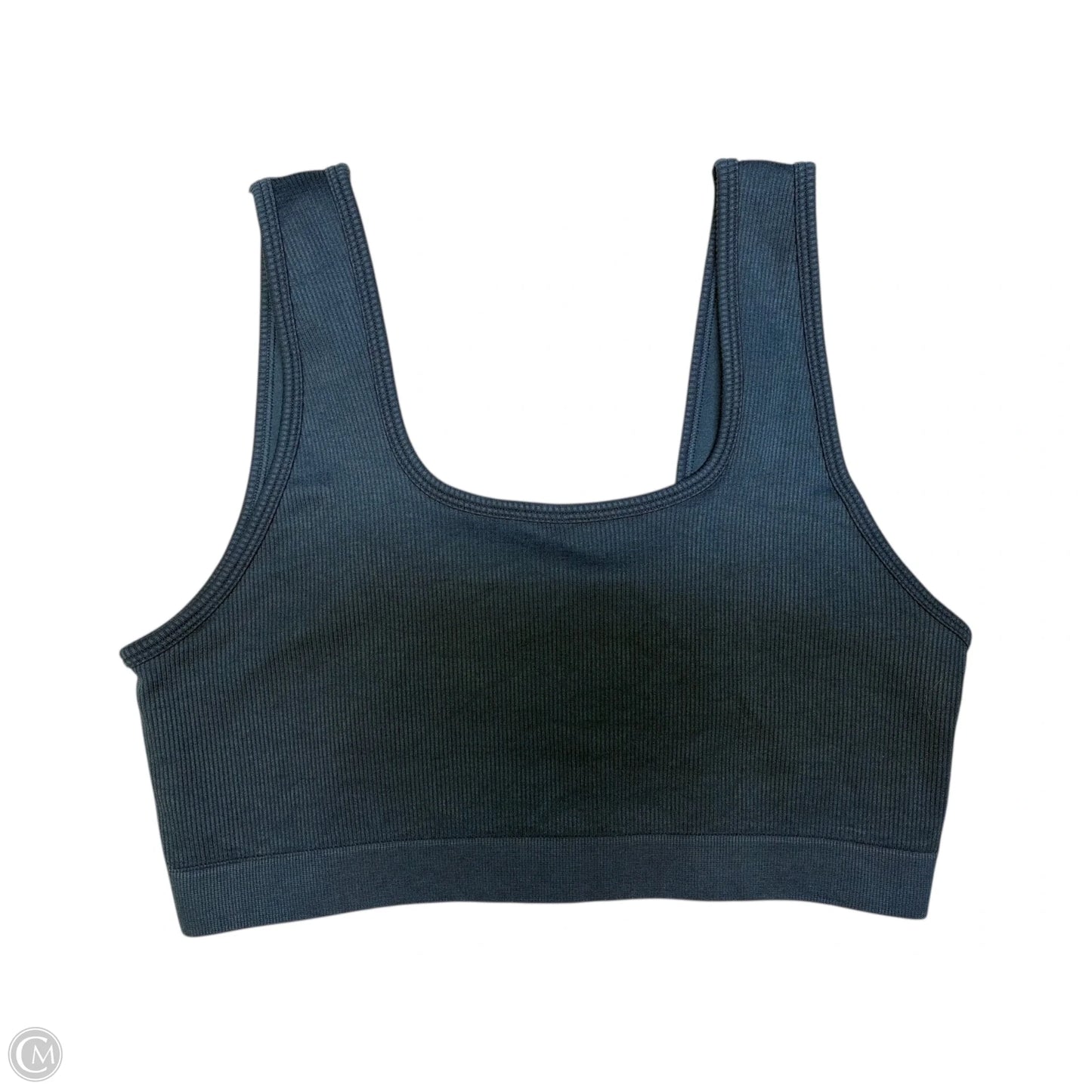 Athletic Bra By Fabletics In Blue, Size: Xl
