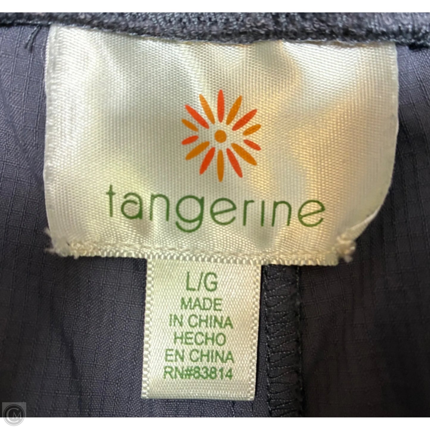 Shorts By Tangerine In Grey, Size: L